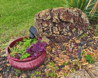 Large Lava Rock - Plant