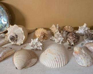 More Shells