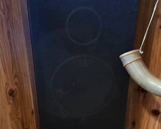 Other Speaker 
