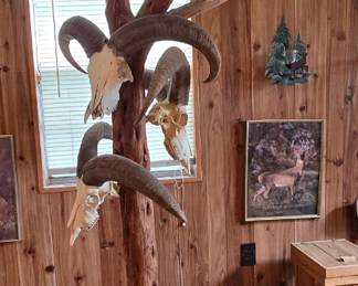 This is really cool! Deer Mounts- Ram mounts  on a tree. Cedar pieces.