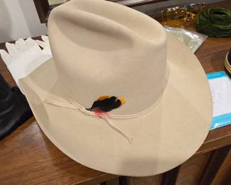 Cowboy Hat 