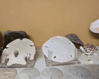 More Shells
