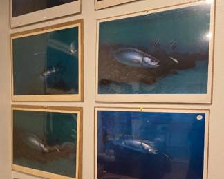Cools Saltwater Fish Prints Signed and Numbered - 1985 by Raul Andrade