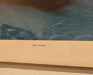 Spot Attack