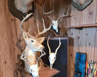 Deer Mounts - Another Speaker that makes 3 - Antique Highchair
