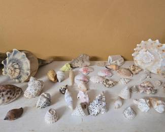 More Shells