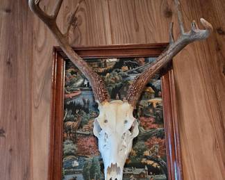 Deer Mount 