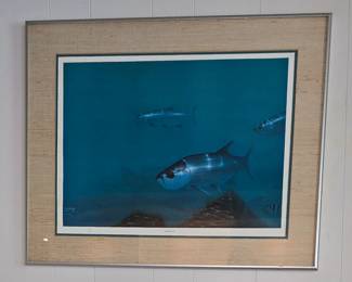 Fish Picture 