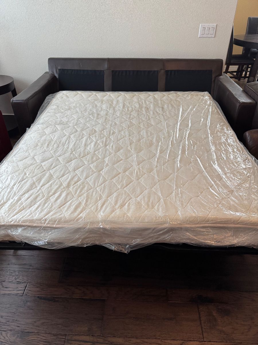 Leather Sleeper sofa