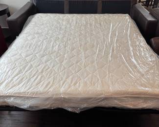 Leather Sleeper sofa