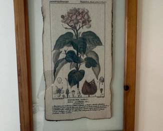Bixa Orellana Botanical Wall Art Decor