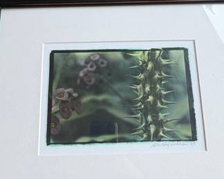 Brenda Whitehill Schlenker art 