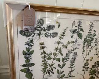 Vintage Adolphe Millot Botanical Print Wall Art third image