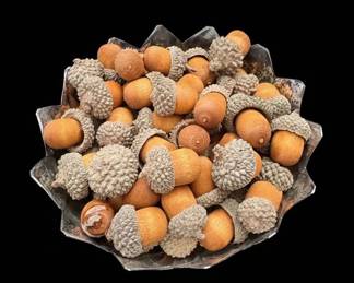 Acorns in Decorative Bowl