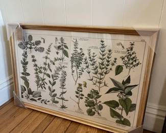 Vintage Adolphe Millot Botanical Print Wall Art second image