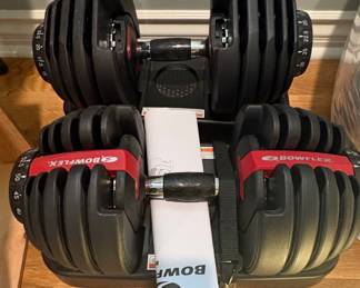 Bowflex SelectTech 552 Adjustable Dumbbells