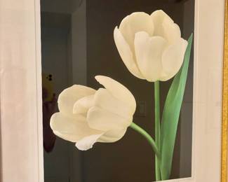 Amy Lamb "White Tulips" Botanical Photography - - Limited Edition Print