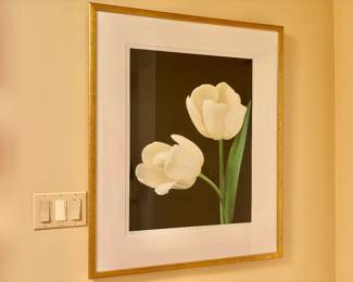 Amy Lamb "White Tulips" Botanical Photography - Limited Edition Print