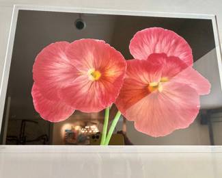 Amy Lamb "Pansies" Botanical Photography - Limited Edition Print