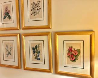 Framed Original Paxton Botanicals