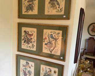 Vintage Botanical Bird framed art