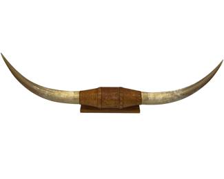 4 FT Longhorns Mounted Long Horn Steer Cattle Texas Western