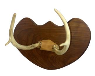 Indiana Whitetail Deer Antlers Mounted