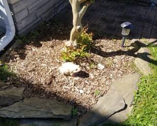 Garden decor