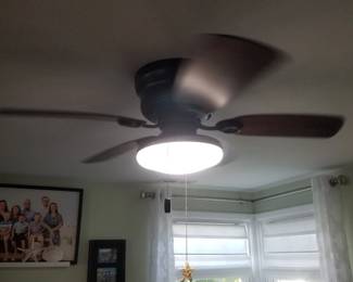Lighted ceiling fan