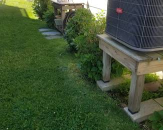 Plants - hydrangeas and more