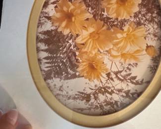 Vintage Botanical Oval Prints Set of