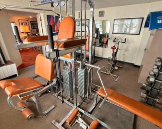 Paramount Fitness Trainer Home Gym