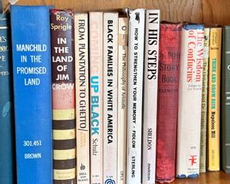Black History / Civil Rights Books