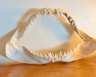 Shark Teeth 