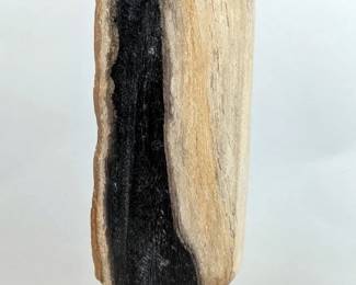 Indonesian Petrified Wood Specimen On Metal Display Stand, 10.25" Tall