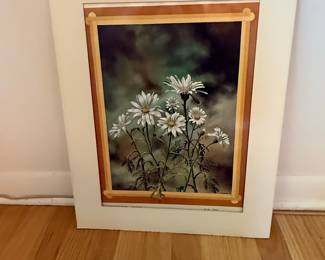 Daisies Lithograph by D. Webb, 1975