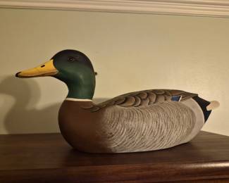 mallard decoy