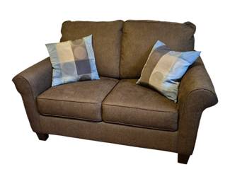 green loveseat -  sofa bed. Very comfprtable