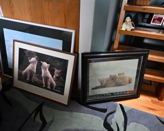 Animal frame pictures, Polar bear framed picture