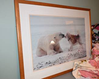 polar bear picture