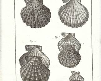 Individual pages available. Published in Paris during the French Revolutionary period, circa 1797–1798, from the Tableau Encyclopédique et Méthodique. 30 original prints available 