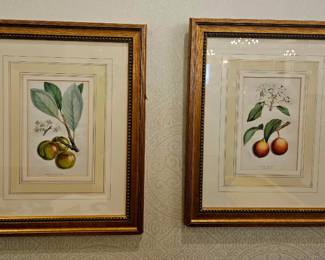 19th c. Photogravures