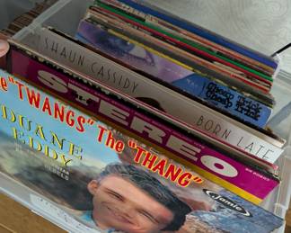 Vinyl records. Mint 80s records and $5 box of curated variety 