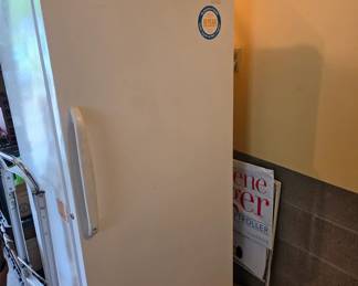 Upright freezer