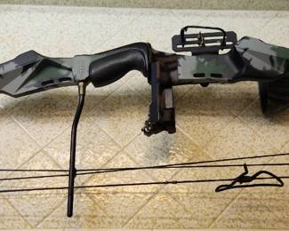 Compound Bow
