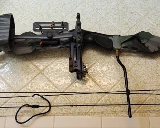 Compound Bow