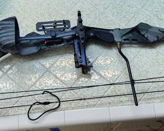 Compound Bow