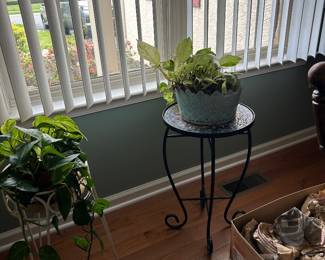 Plants Plant Stands