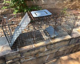 Critter Live Trap