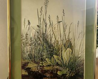 Nature vintage art
